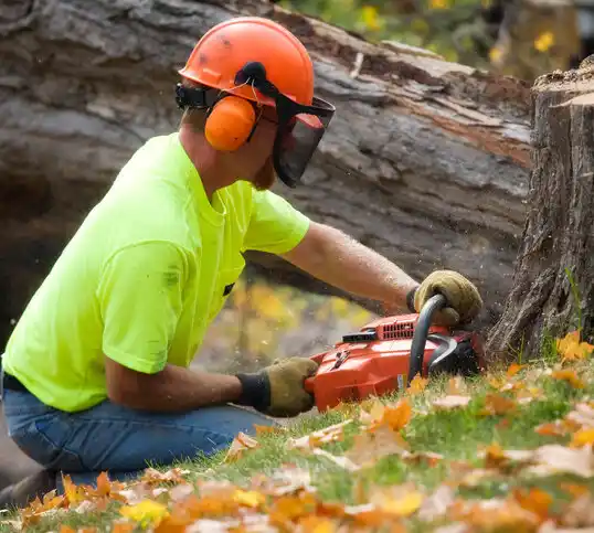 tree services Bellemeade